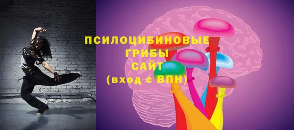 a pvp Ельня