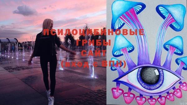мяу мяу мука Елабуга