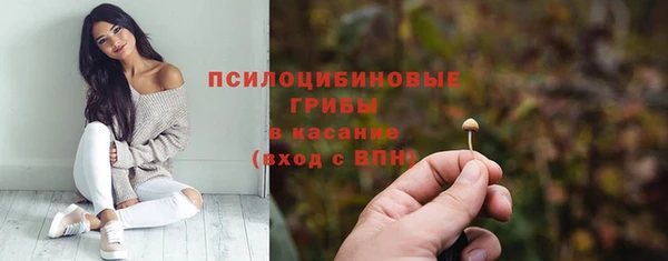 мяу мяу мука Елабуга