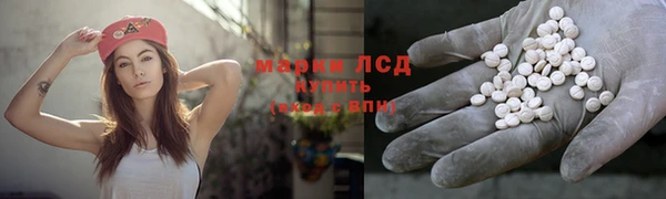 мяу мяу мука Елабуга