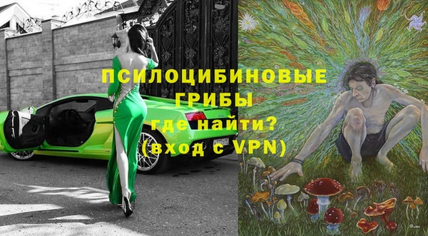 твердый Елизово